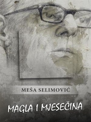 cover image of Magla i mjesečina